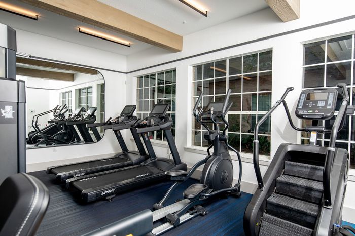 Modern fitness center featuring state-of-the-art cardio equipment with bright natural lighting and sleek design.
