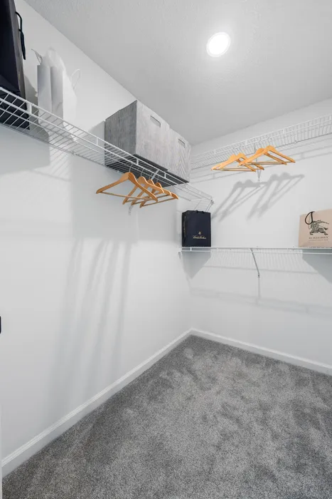 Spacious walk-in closet with elegant shelving, hangers, and plush carpeting, perfect for organized living.