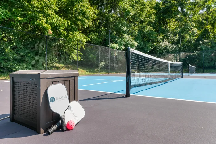 Inviting outdoor pickleball court surrounded by lush greenery, featuring Avana-branded paddles and a vibrant pink ball.