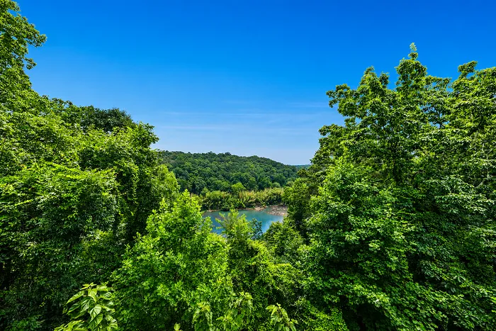Breathtaking view of lush green forest with a serene blue river under a clear blue sky.