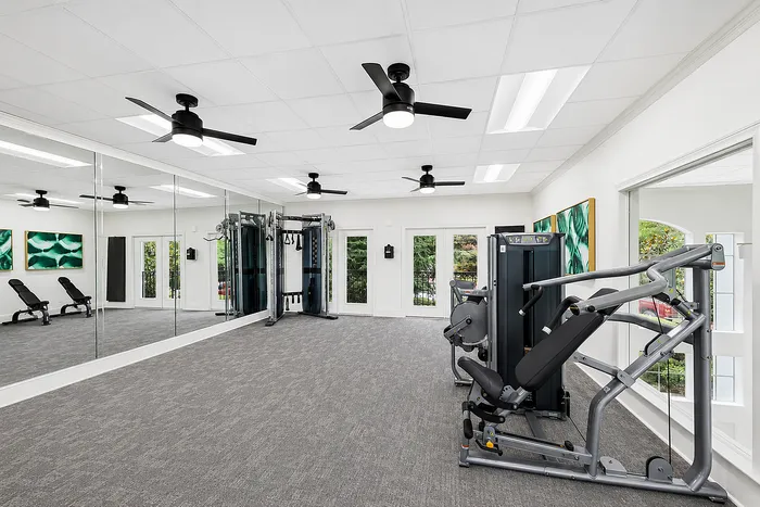 Modern fitness center with sleek exercise equipment, mirrored walls, and plenty of natural light.