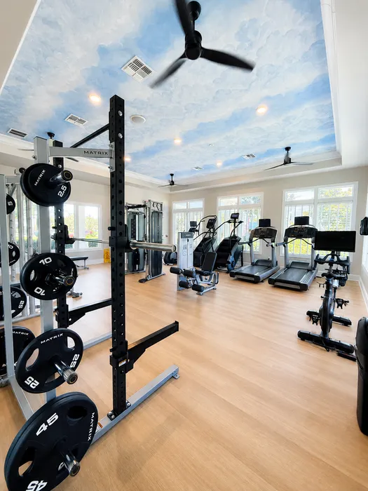 Bright and modern fitness center with state-of-the-art equipment, wooden floors, and a stunning sky-themed ceiling.