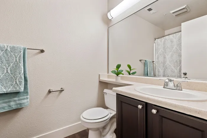 Elegant bathroom with modern vanity, large mirror, and stylish decor in soft neutral tones.