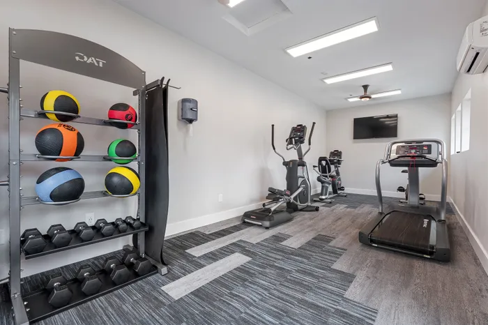 Modern fitness center with state-of-the-art exercise equipment, vibrant kettlebells, and sleek design.