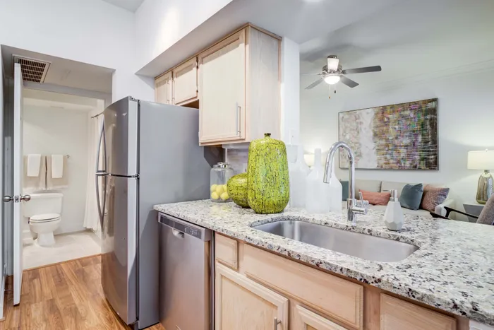 Modern kitchen in an elegant apartment with granite countertops, stainless steel appliances, and stylish decor.