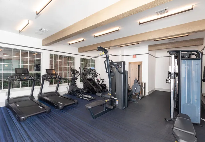 Modern fitness center featuring state-of-the-art treadmills, elliptical machines, and strength training equipment in a well-lit, spacious room with large windows.