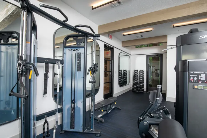 Modern apartment gym featuring high-end equipment, sleek decor, and pristine mirrors for an invigorating workout experience.