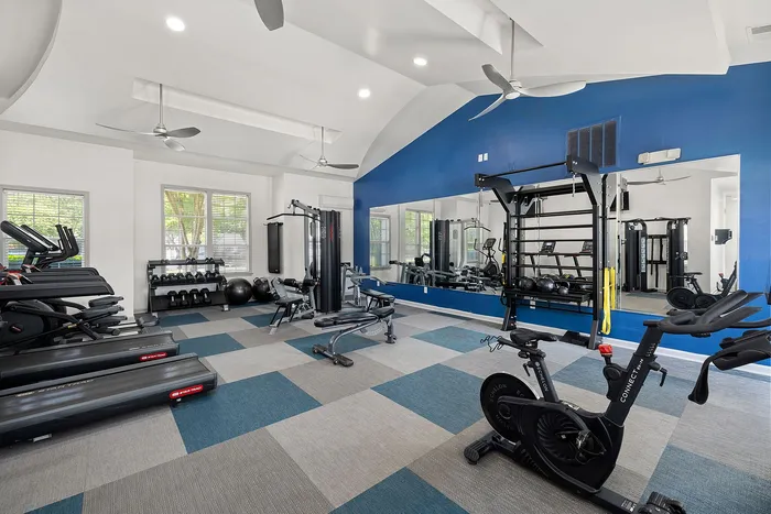 Modern fitness center featuring top-of-the-line equipment, bright windows, and blue accent walls for an energizing workout experience.