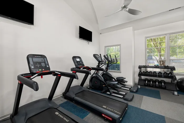 Modern fitness room with treadmills, ellipticals, and a selection of free weights, enhanced by natural light from large windows.