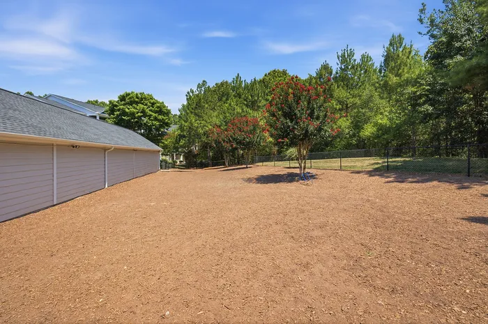 Expansive backyard with landscaped trees, perfect for outdoor activities and relaxation.