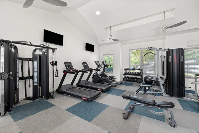 Modern fitness center featuring state-of-the-art treadmills, free weights, and exercise machines in a bright, airy space.