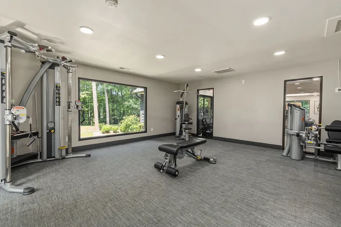 Bright, modern gym with sleek equipment and large window showcasing serene outdoor view.