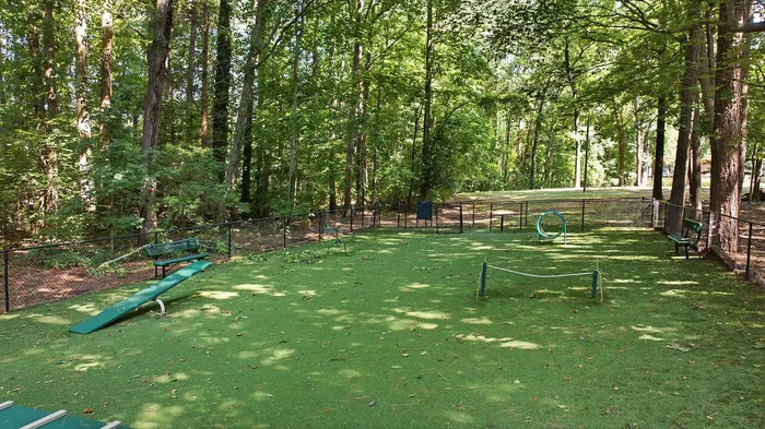 Tranquil outdoor pet-friendly play area shaded by lush trees, featuring agility equipment and cozy seating.
