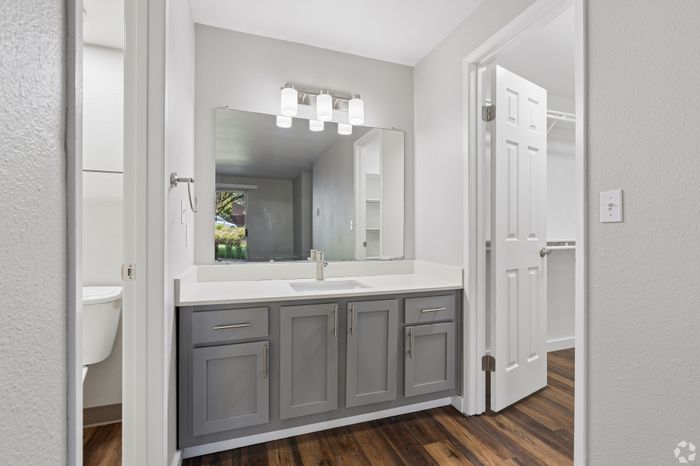 Elegant bathroom with modern gray cabinetry, large mirror, and sleek lighting, complemented by rich wooden flooring.