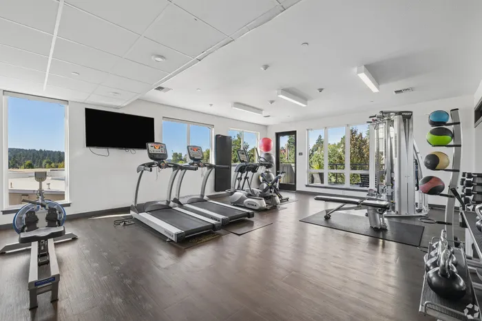 Bright, modern gym with treadmills, rowing machine, strength equipment, and views of lush greenery through large windows.