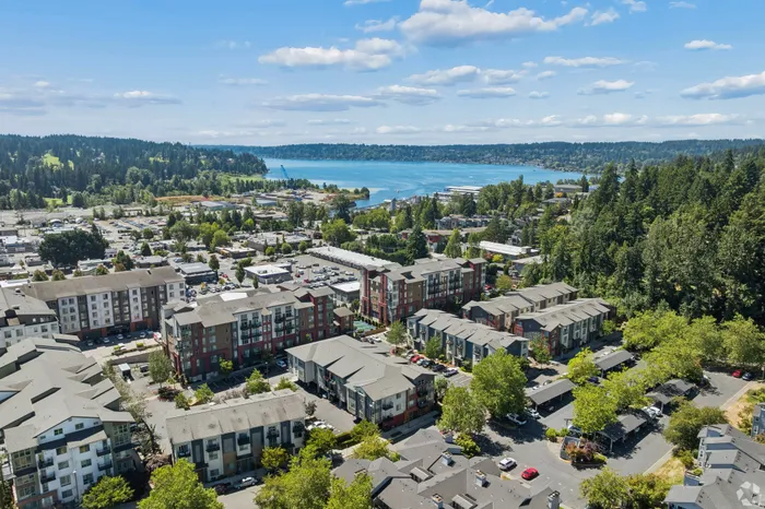 Aerial view of a vibrant apartment complex surrounded by lush greenery, overlooking a picturesque lake and tree-covered hills.