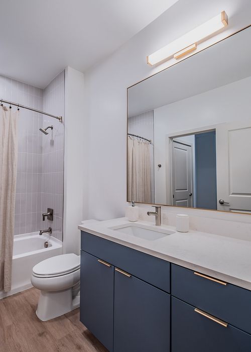 Modern bathroom featuring sleek blue cabinetry, spacious vanity with a large mirror, and a luxurious shower-tub combo.