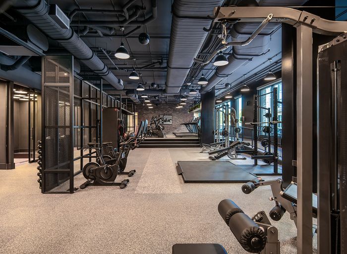 Modern fitness center featuring state-of-the-art exercise equipment, spacious layout, and sleek contemporary design.