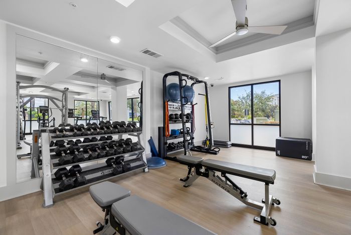 Modern gym room with large windows, featuring state-of-the-art equipment, free weights, and a mirrored wall for an open, airy workout space.