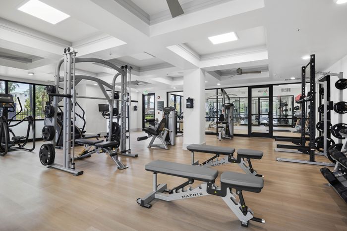 Modern fitness center with natural light, featuring state-of-the-art exercise equipment and sleek interior design.