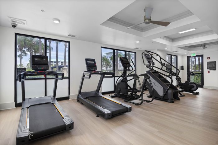 Bright, modern fitness center with sleek cardio equipment and expansive windows for a refreshing workout experience.