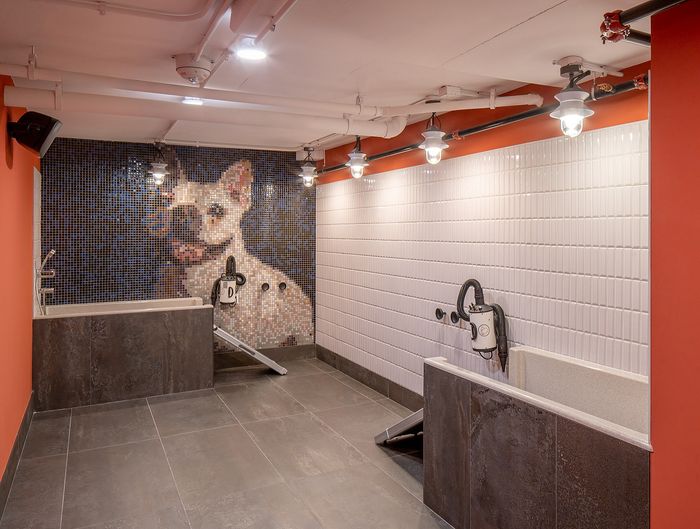 Chic pet washing station with mosaic dog art, modern lighting, and sleek tiling.