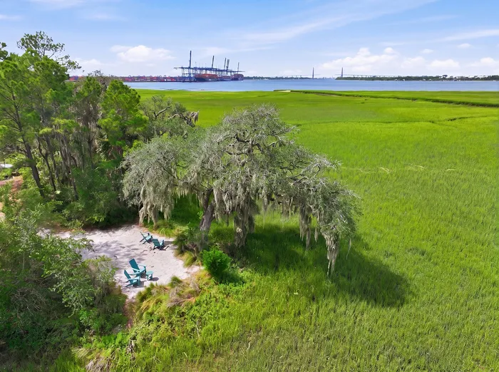 Lush marshland view with serene seating area under a majestic tree, overlooking a tranquil waterfront.