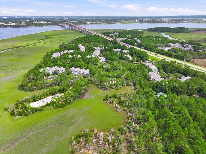 Scenic aerial view of a lush residential community surrounded by vibrant greenery and serene waterfront, complete with modern apartment complexes and convenient access to a nearby bridge.