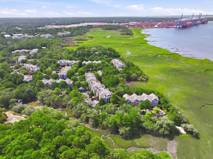 Scenic aerial view of charming residential community surrounded by lush greenery and serene water views, perfect for nature lovers and tranquility seekers.