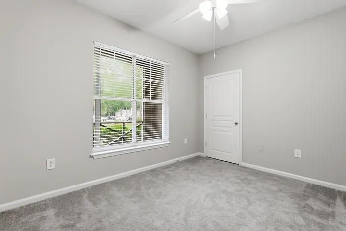 Bright, unfurnished room with fresh gray walls, plush carpet, and a large window for natural sunlight.