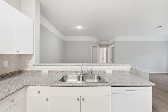 Modern open kitchen with sleek countertops and a dual sink overlooking a spacious and bright living area.