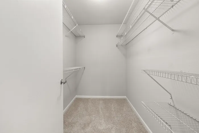 Spacious walk-in closet with white wire shelving and plush carpet flooring.
