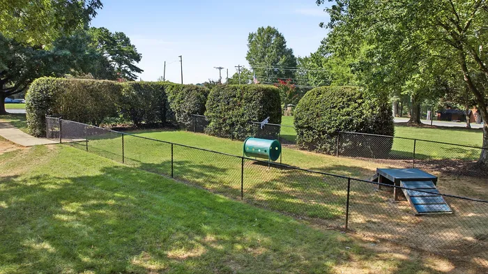 Charming outdoor space for pets with lush greenery, exercise equipment, and secure fencing.
