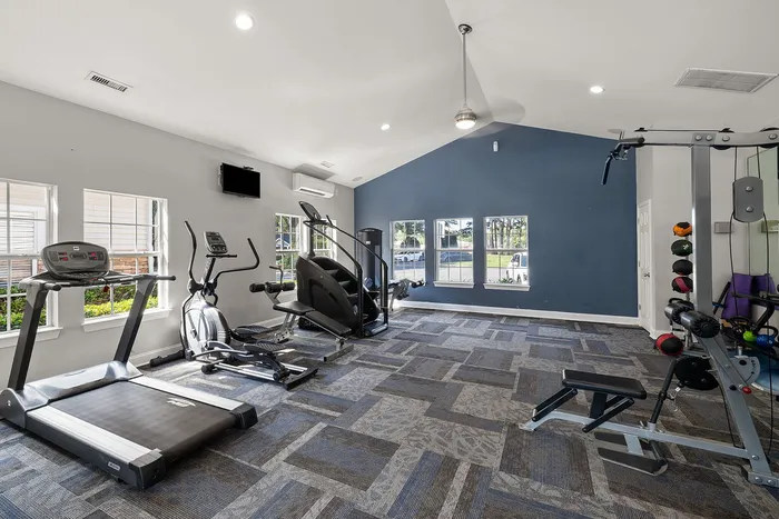 Modern, well-lit gym facility with state-of-the-art cardio and strength equipment, perfect for fitness enthusiasts.