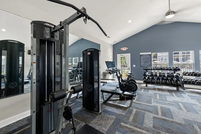 Modern fitness center equipped with state-of-the-art gym machines, free weights, and cardio equipment in a bright, spacious setting.