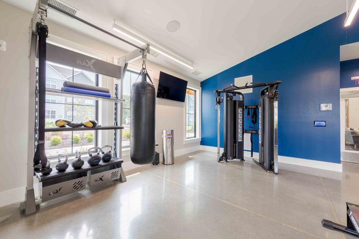 Modern fitness area equipped with state-of-the-art gym equipment, bright natural lighting, and sleek blue accent wall.
