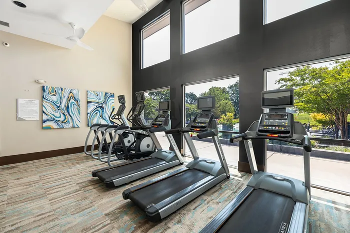 Bright and modern gym with multiple treadmills, wall art, and large windows offering scenic outdoor views.