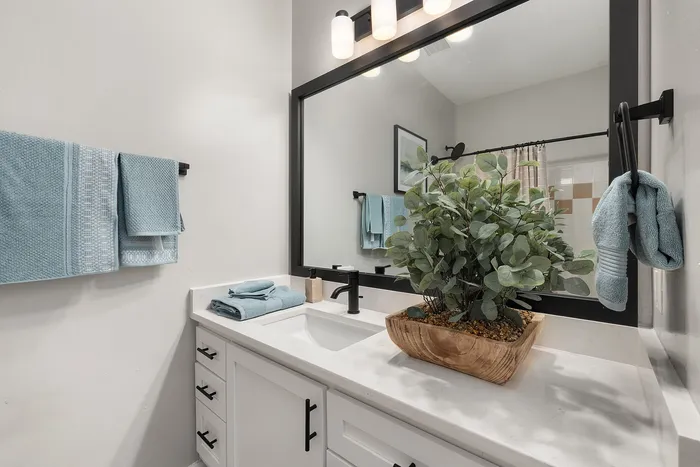 Modern bathroom showcasing a sleek vanity with a large mirror, elegant black fixtures, and a vibrant plant arrangement.