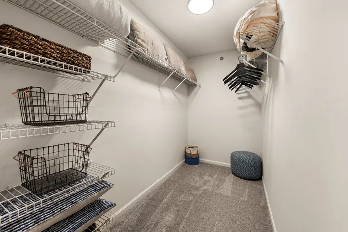 Spacious walk-in closet featuring ample shelving, cozy carpet flooring, and stylish storage solutions.