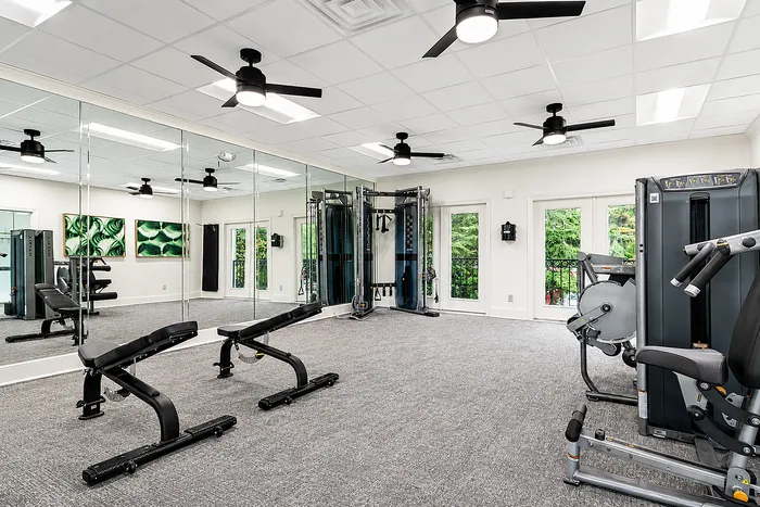 Bright and modern gym with state-of-the-art fitness equipment, mirrored walls, and natural light.