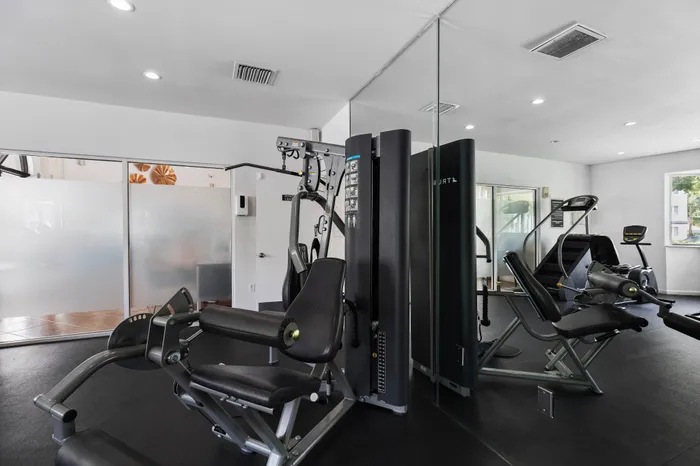 Contemporary fitness center with modern exercise equipment and bright, inviting atmosphere.