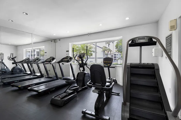 Bright and modern apartment gym featuring state-of-the-art cardio equipment with inviting views.