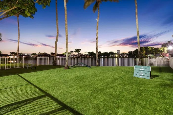 Lush green community park with palm trees at sunset, featuring a dog agility course and scenic lake view.
