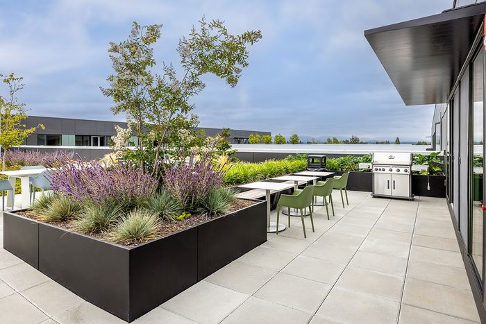 Modern rooftop patio with lush greenery, outdoor dining table, and a stylish barbecue grill, offering scenic views.