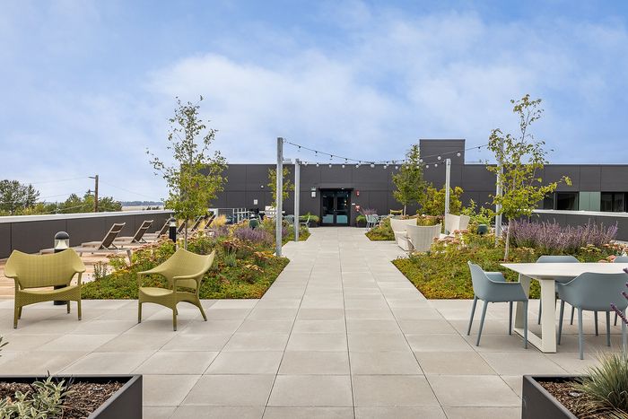 Modern rooftop courtyard with elegant seating, lush greenery, and ambient string lights, offering a serene outdoor retreat.
