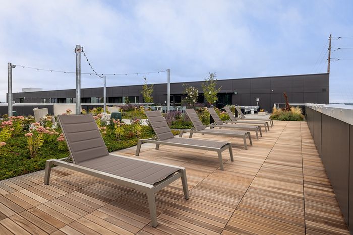 Stylish rooftop terrace with modern lounge chairs, lush greenery, and string lights, offering a serene urban oasis.
