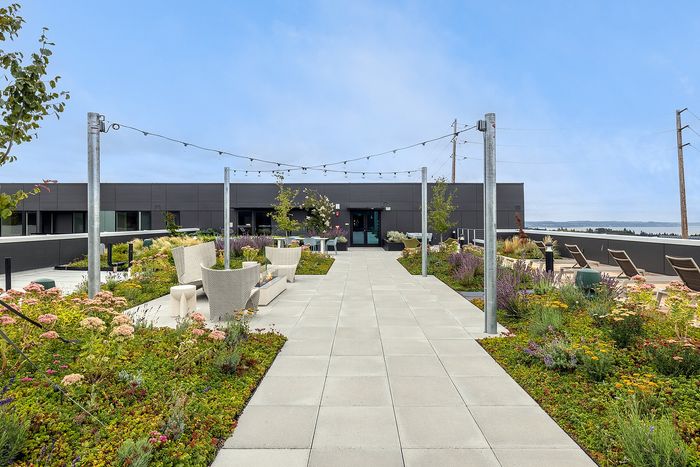 Luxurious rooftop garden with chic seating, lush greenery, and a stunning cityscape view under a bright blue sky.