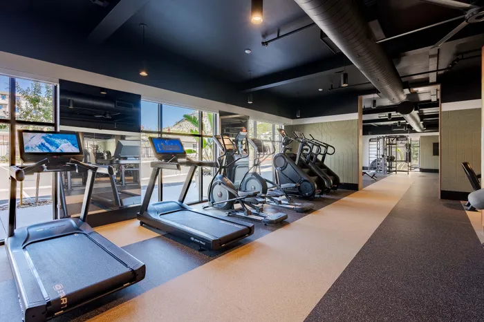 Modern fitness center with state-of-the-art treadmills and elliptical machines, featuring large windows and sleek interior design.