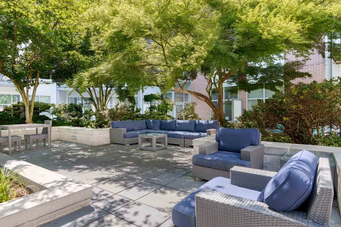 Lush outdoor patio with stylish wicker seating under the shade of vibrant trees, perfect for relaxing or entertaining.