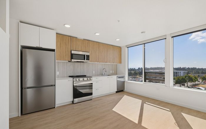 Views at Angle Lake - Modern Kitchen